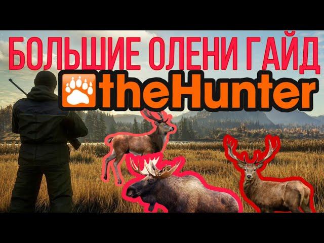 The Hunter Classic Большие олени Лось, Рузвельт, Благородный, Северный  олень помощь новичкам!!!!