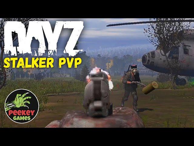 ИМБОВЫЕ КРОВОСОСЫ / DAYZ STALKER PVP / 2я серия