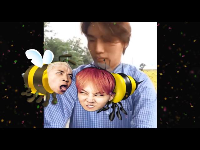 [Quicky] Daesung & Annoying GRIbees!