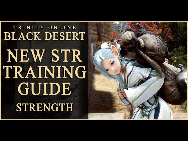 Black Desert NEW STR Strength TRAINING Guide for beginners in BDO 2024 Updated version