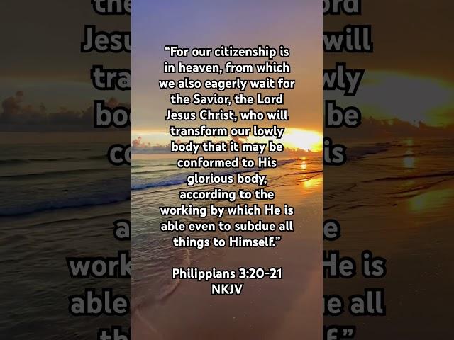 Focus on Heavenly things #scripture #trustgod #philippians #dailyverse #shorts