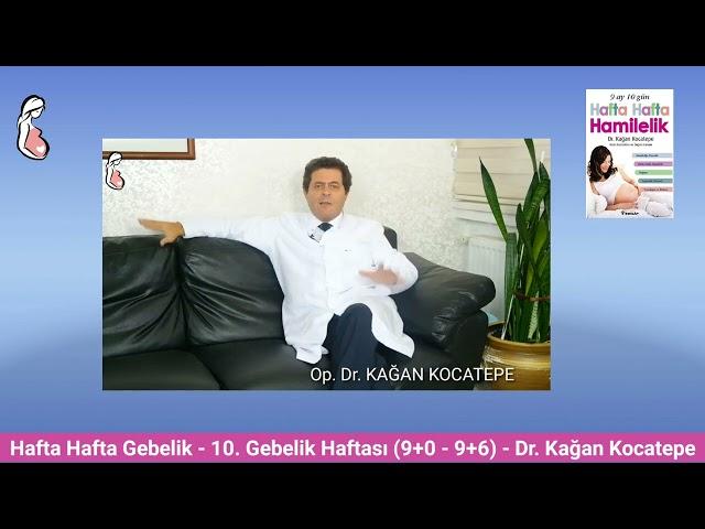 Gebelikte 10. hafta (9+0-9+6) belirtileri. Anne adayı ve bebekte değişiklikler, bebek organ gelişimi