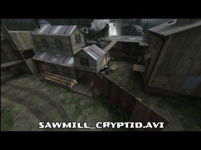 Sawmill_cryptid.avi