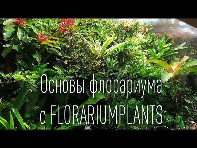 Основы палюдариума флорариума с @Florariumplants - флорариумы