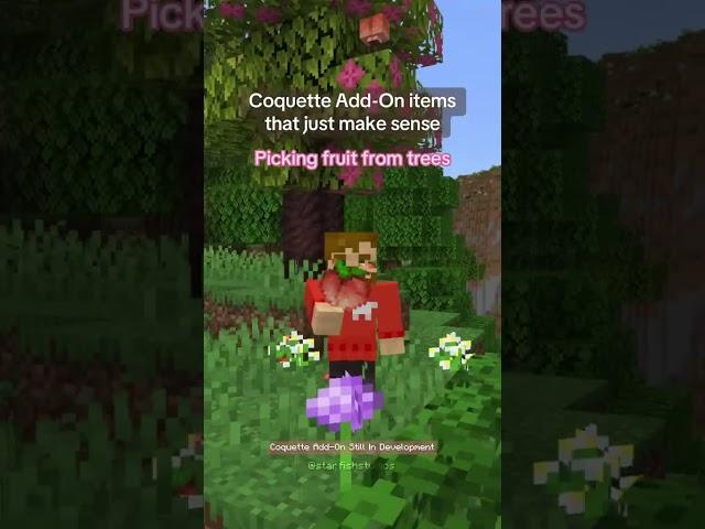 Coquette Add-On items that make sense  #minecraft #bedrock #addon #coquette