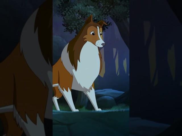 ZEHER?? #lassie #ytshortsindia #ytshorts #ytviralshorts #ytshortvideos #animated #fyp