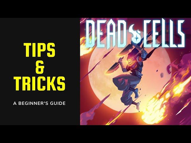 Dead Cells Tips & Tricks - A Beginner's Guide