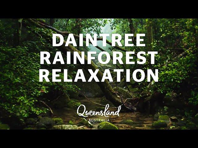 Relax in Australia's Daintree Rainforest