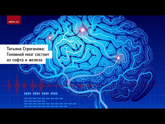 Татьяна Строганова: Головной мозг состоит из софта и железа