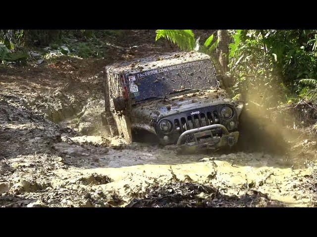 Extreme 4X4 Mudding | Best Off Road Fails & Wins Compilations