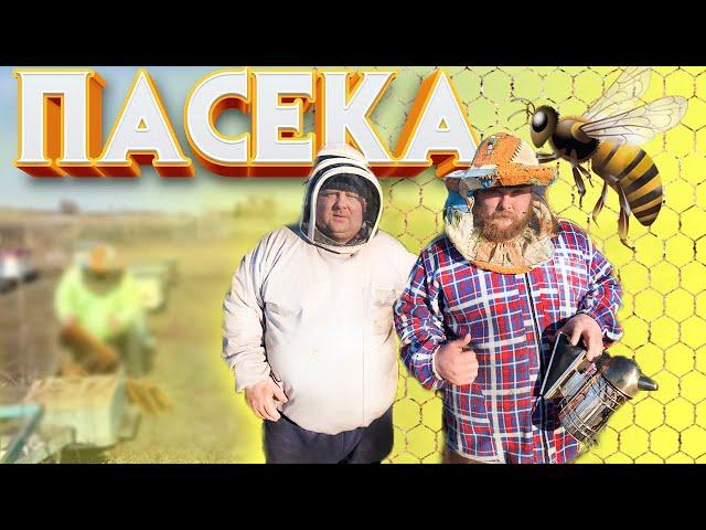 На Пельменя напали пчелы/ Сезон пасеки открыт/Bees attacked dumplings / apiary season opened