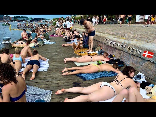 Islands BryggeHarbor Beach | Copenhagen Denmark | Bikini Beach Walk | June 2024 | 4K HDR