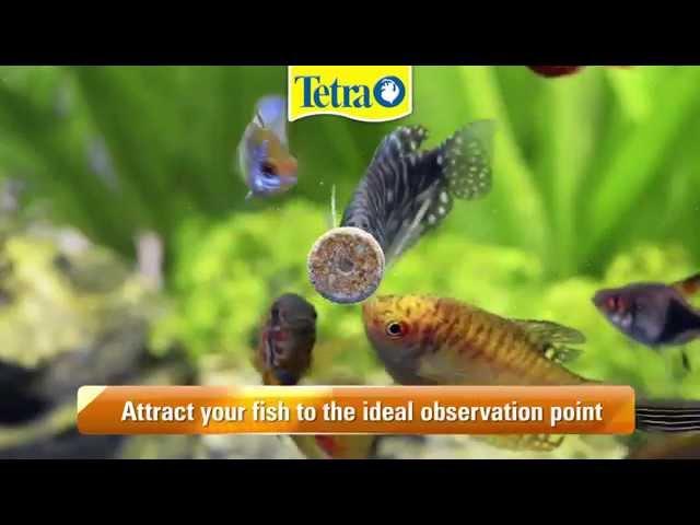 NEW! Tetra FunTips