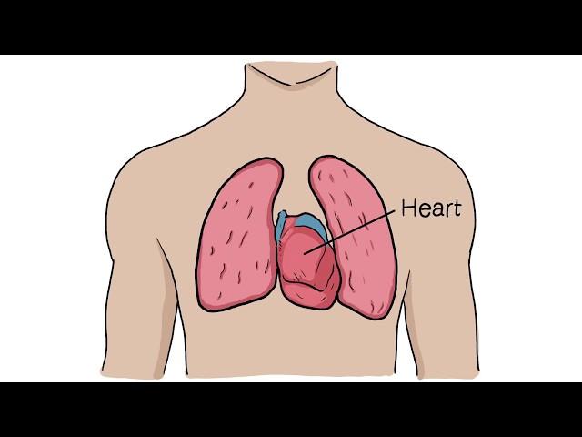 Retained Blood Syndrome (RBS) Explained