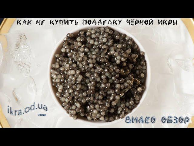 Как не купить подделку чёрной икры - видео инструкция как проверить икру и отличить имитированную