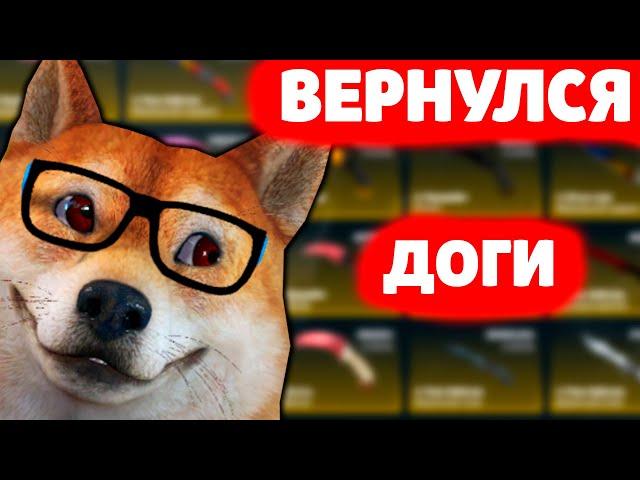 ДОГИ ВЕРНУЛСЯ ? где  пропадал !  ОТКРЫТИЕ КЕЙСОВ в КС ГО КЕЙСЫ CS GO