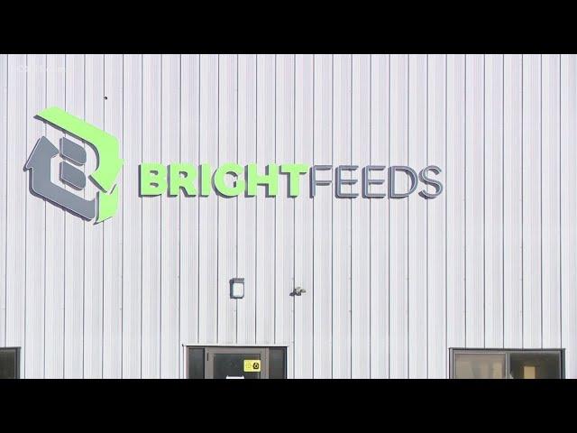 Berlin resident, business express concerns about Bright Feeds