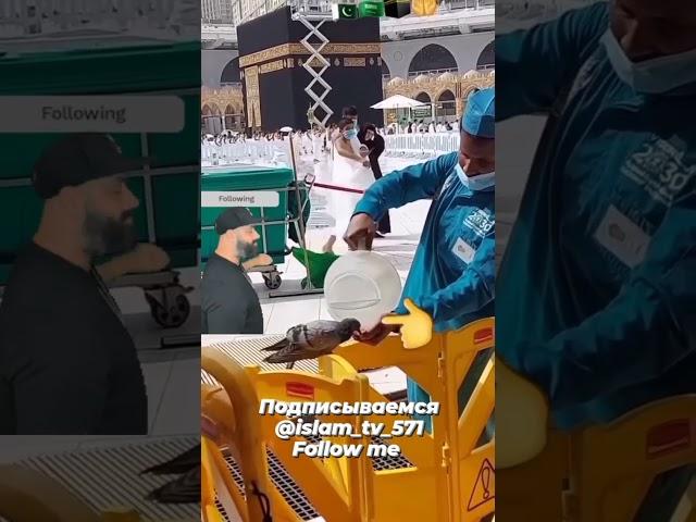 Аллох бузург аст
