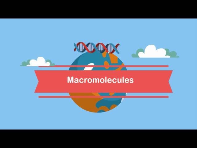 Macromolecules-A Beginners Guide