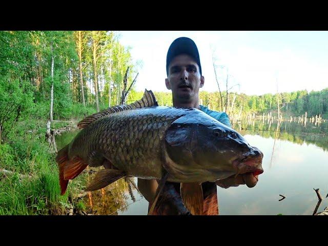 Рыбалка на Карпа | Ловля Карпа на Боковой кивок | Адреналин на пределе !!!