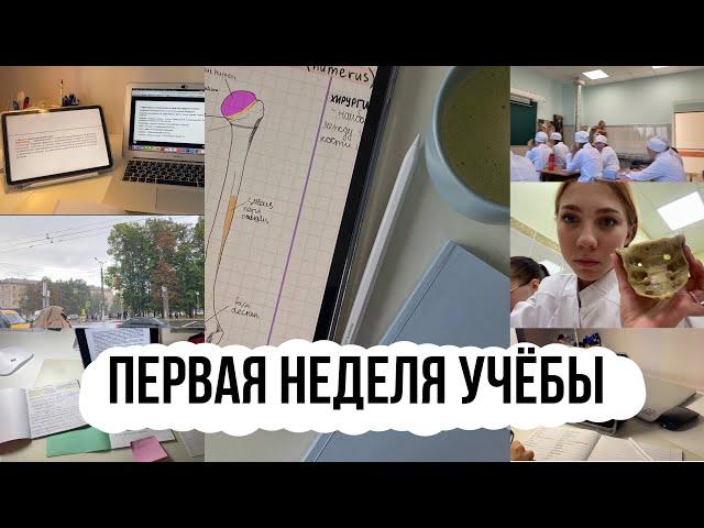 первая неделя учёбы в медицинском