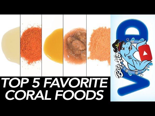 Top 5 Favorite Coral Foods | BigAlsPets.com