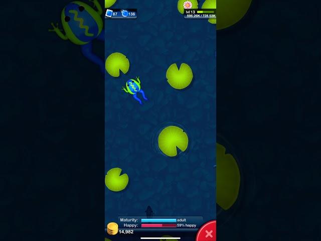 Pocket Frogs: legendary frog #shorts