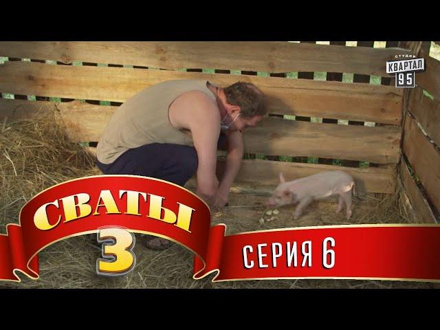 Сваты 3 (3-й сезон, 6-я серия)