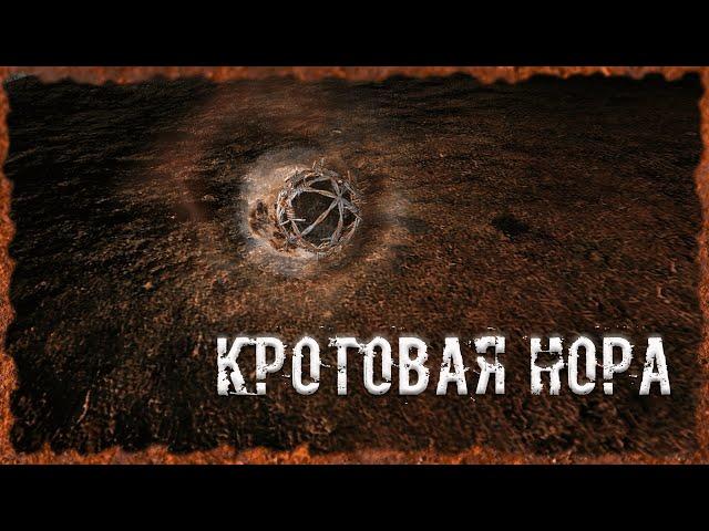 Кротовая нора S.T.A.L.K.E.R. ОП-2.2 Народная Солянка