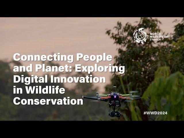 Connecting People and Planet: Exploring Digital Innovation in Wildlife Conservation