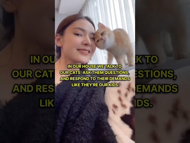How do you treat your cats?  #catreels