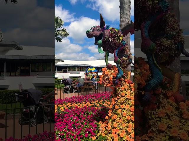 New Coco Topiary at Epcot’s Flower and Garden Festival #disney