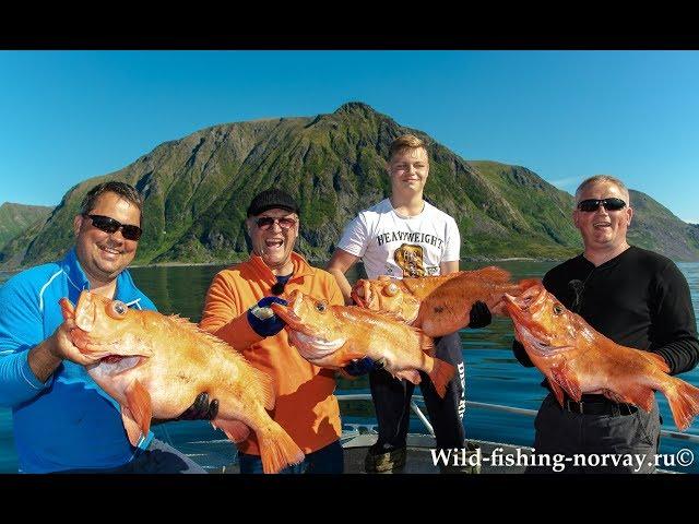 Морская рыбалка в Норвегии.Wild Fishing Norway