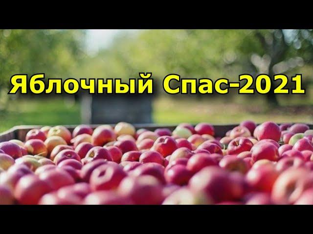 Яблочный Спас-2021. Что можно и нельзя делать в праздник.