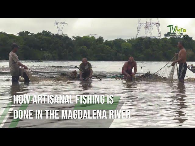 How Artisanal Fishing is done in the Magdalena River