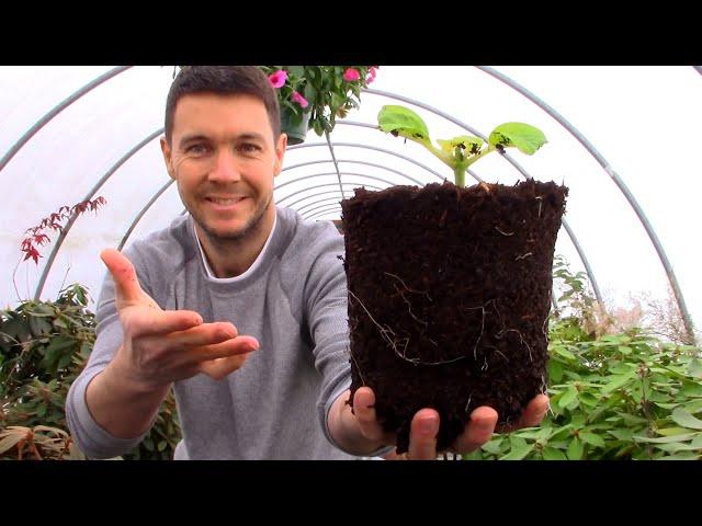 Use This Trick to Get your Hydrangea Cuttings Rooting | Plant Propagation Ideas