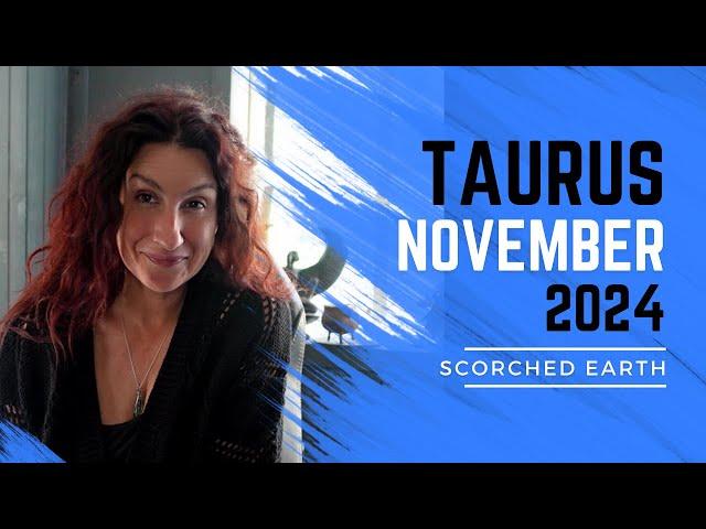 TAURUS || NOVEMBER 2024 || Gifts, Catharsis & Peaceful Symmetry