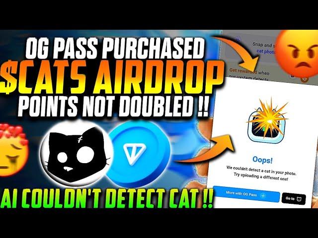 $CATS Airdrop Photo Upload Error | $CATS Airdrop AI Is Cooking Cat Not Detected Error Solution 