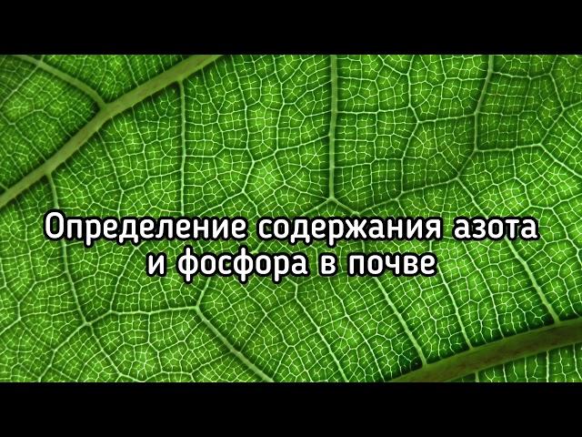 Определение содержания азота и фосфора в почве