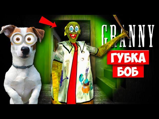 Dog playing  SpongeBob in Granny. Funny moment