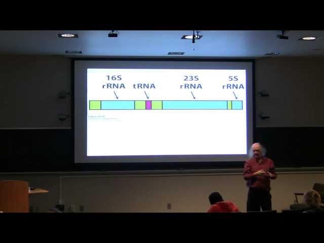 #54 Biochemistry Review Session for the Final Exam for Kevin Ahern's BB 451/551