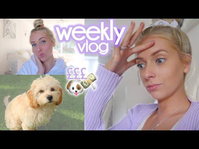 a BIG purchase is coming  & Sunny’s first puppy groom! // VLOG #16