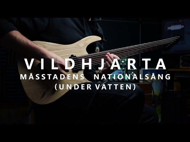 Vildhjarta - Måsstadens Nationalsång (Under Vatten) (Guitar Cover)