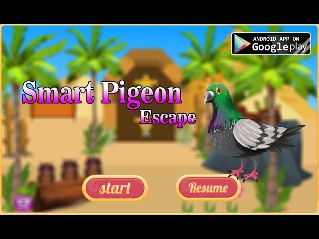 Avm Smart Pigeon Escape Walkthrough [AvmGames]