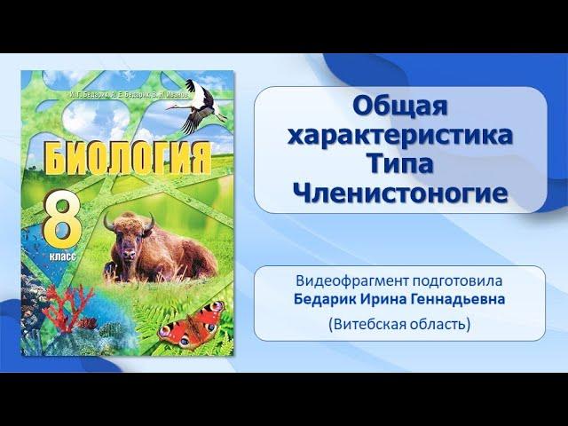 Тип Членистоногие. Тема 14. Общая характеристика типа Членистоногие