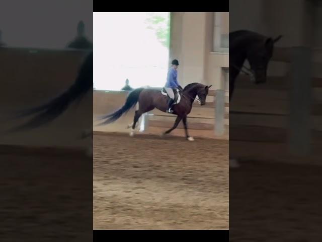 2nd and 3rd yesterday with Cass!