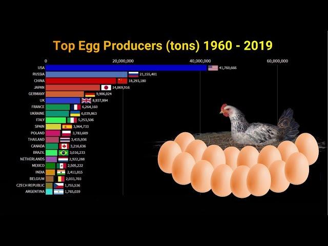 World's Largest Egg Producing Countries 1960-2019 | China vs USA | Chicken + Egg Animations