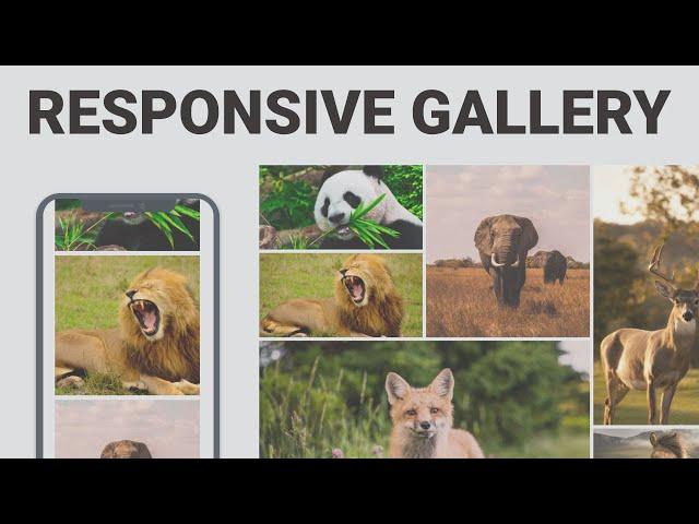 Responsive Image Gallery Using CSS Grid | HTML And CSS