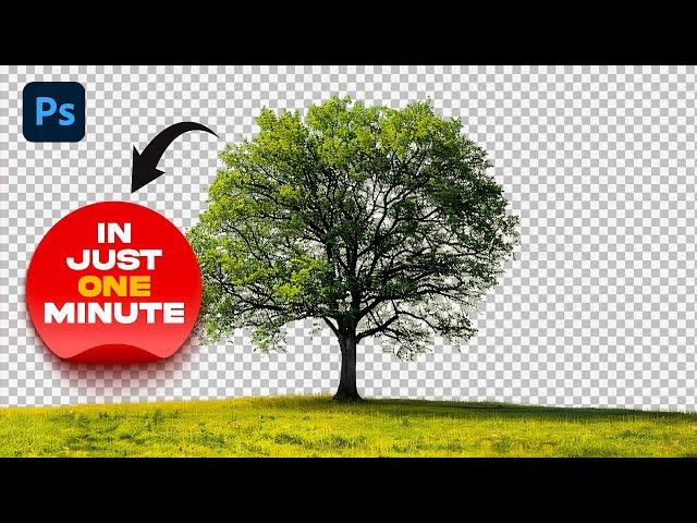 How to remove background from a Tree in Photoshop!