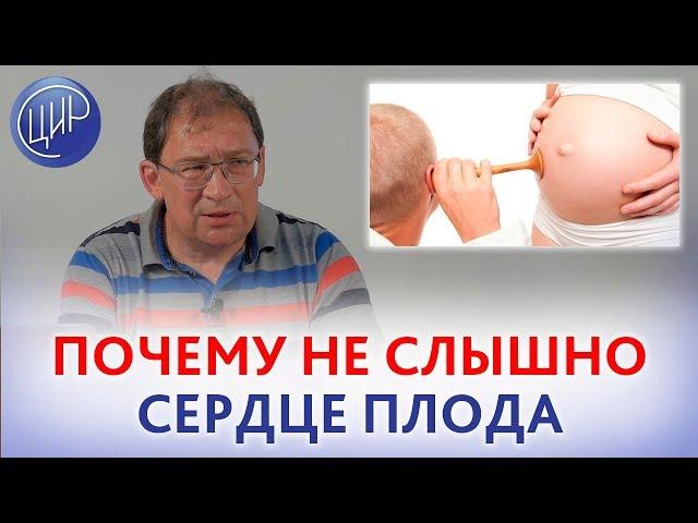 СЕРДЦЕБИЕНИЕ ПЛОДА. ПОЧЕМУ НЕ СЛЫШНО сердцебиения плода.